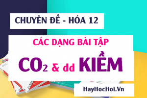 Các dạng toán CO2, SO2 tác dụng với dung dịch Kiềm NaOH, Ba(OH)2 Phương pháp giải và Bài tập - Hóa 12